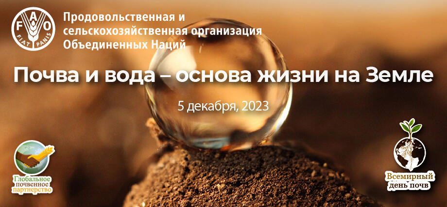 Симпозиум «Почва и вода – основа жизни на земле» по случаю Всемирного дня почв в России